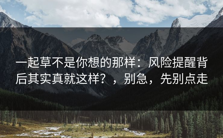一起草不是你想的那样：风险提醒背后其实真就这样？，别急，先别点走