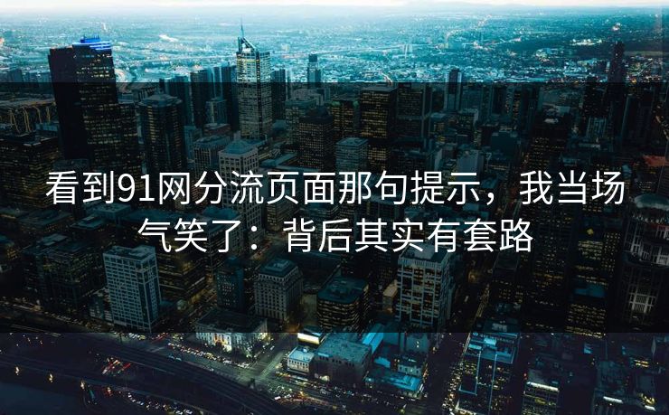 看到91网分流页面那句提示，我当场气笑了：背后其实有套路