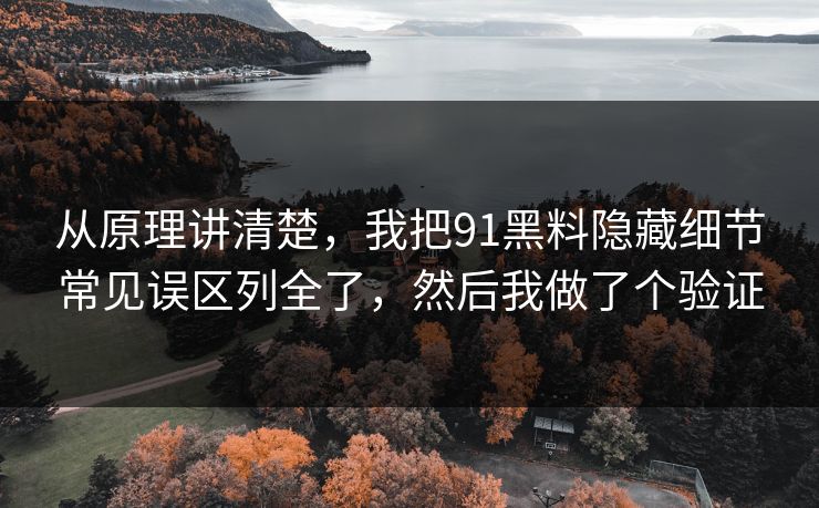从原理讲清楚,我把91黑料隐藏细节常见误区列全了,然后我做了个验证 从原理讲清楚,我把91黑料隐藏细节常见误区列全了,然后我做了个验证