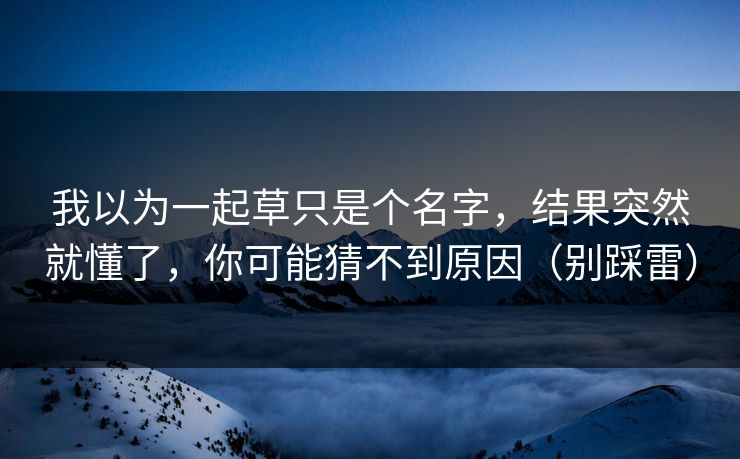 我以为一起草只是个名字，结果突然就懂了，你可能猜不到原因（别踩雷）