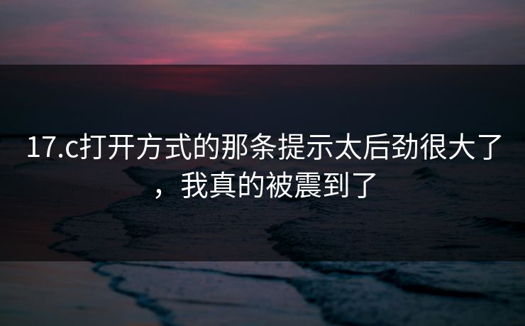 17.c打开方式的那条提示太后劲很大了，我真的被震到了