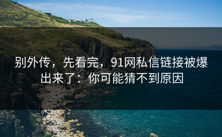 别外传，先看完，91网私信链接被爆出来了：你可能猜不到原因