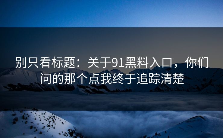 别只看标题：关于91黑料入口，你们问的那个点我终于追踪清楚