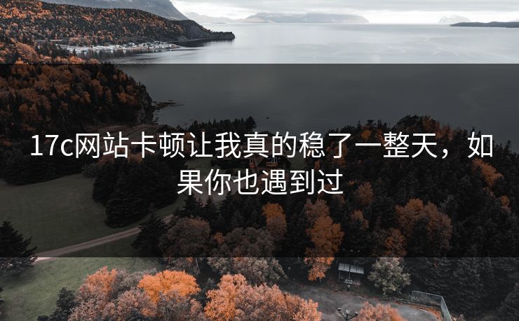 17c网站卡顿让我真的稳了一整天，如果你也遇到过