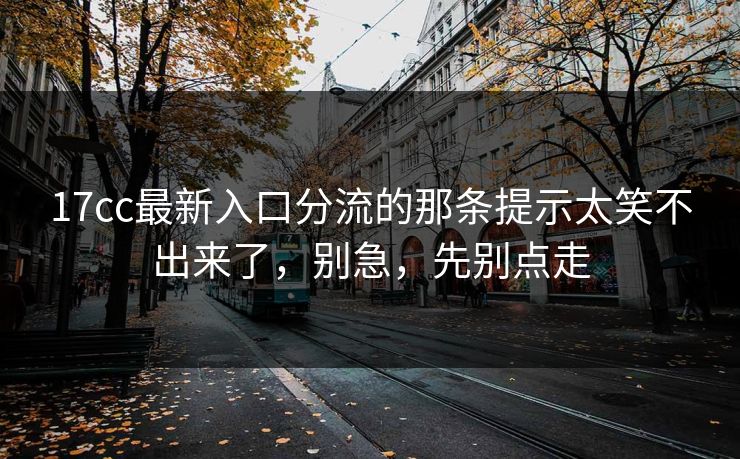 高级教练 - 林嘉敏