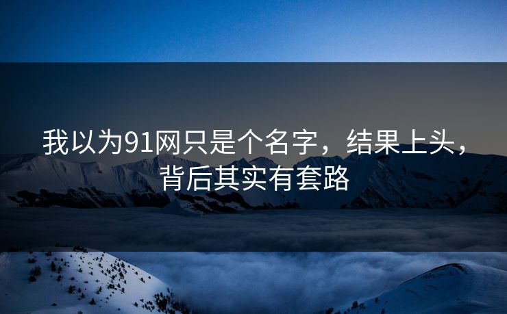 我以为91网只是个名字,结果上头,背后其实有套路 我以为91网只是个名字,结果上头,背后其实有套路